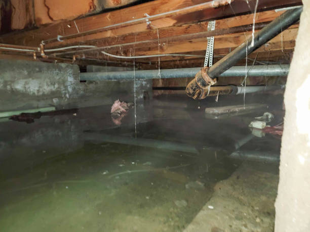 Best Flooded house restoration  in Nixon, PA