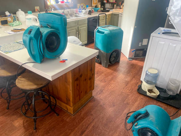 Best Water damage repair service  in Nixon, PA