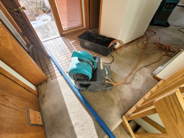 Best Flood damage cleanup  in Nixon, PA