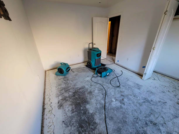 Carpet water damage restoration in Nixon, PA