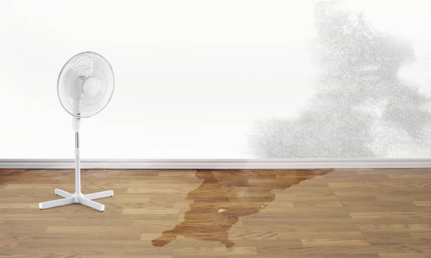 Carpet water damage restoration in Nixon, PA