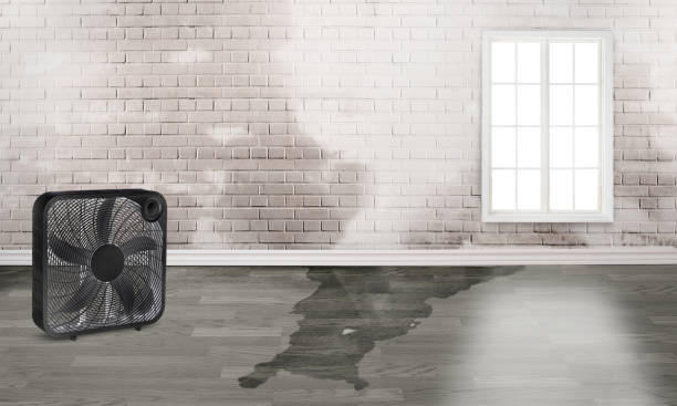 Best Water damage restoration near me  in Nixon, PA