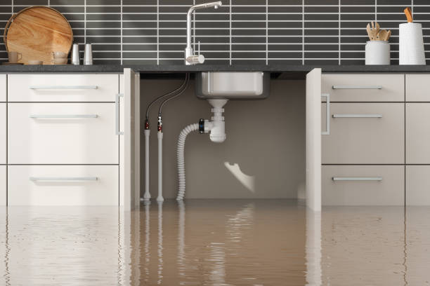 Best Water damage repair service  in Nixon, PA