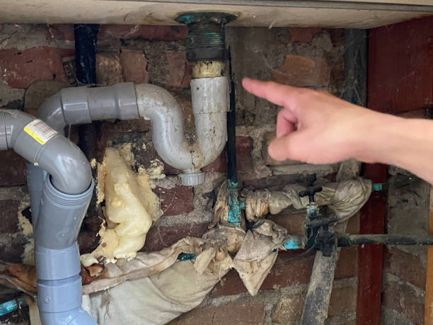 Best Water damage cleanup near me  in Nixon, PA