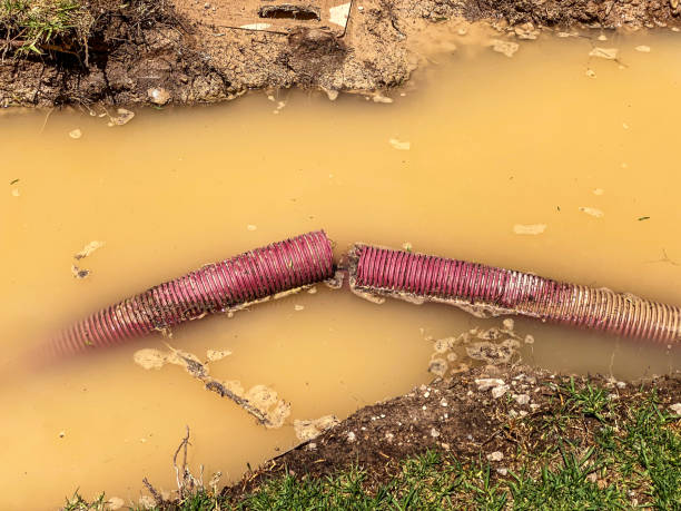 Best Basement water damage restoration  in Nixon, PA